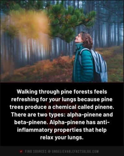 photo_2025-01-21_20-20-33