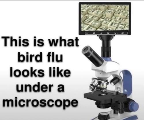 472548845_902759742014404_7730058869657499767_n
