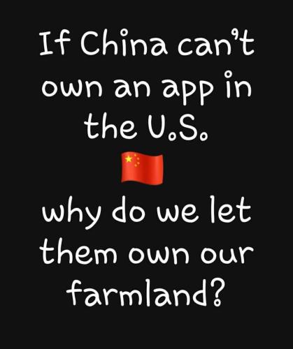 photo_2025-01-19_20-09-51