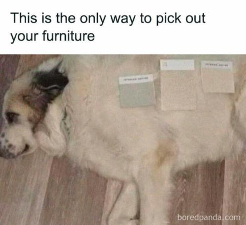 b9f279a265ed7f8d058ba7a82133500d