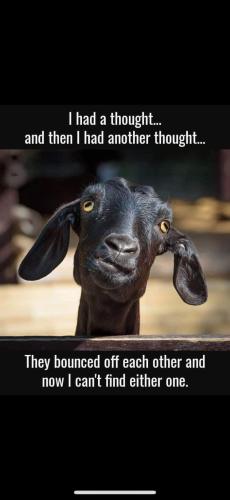 FB_IMG_1738254400218