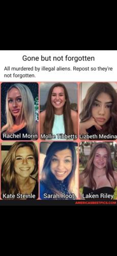 Screenshot_20250110_115931_Gallery