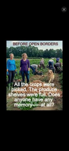 Screenshot_20250129_190459_YouTube