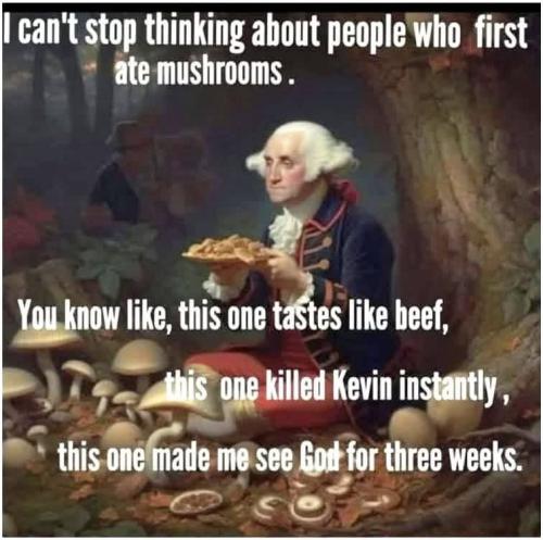 17532F90-EF76-42AA-BD09-0BD72E1F8520