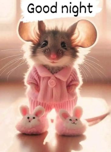 FB_IMG_1737283929893