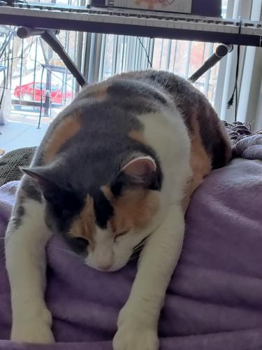 Messenger_creation_CB48A0F9-946D-4468-80D8-014582600B6B