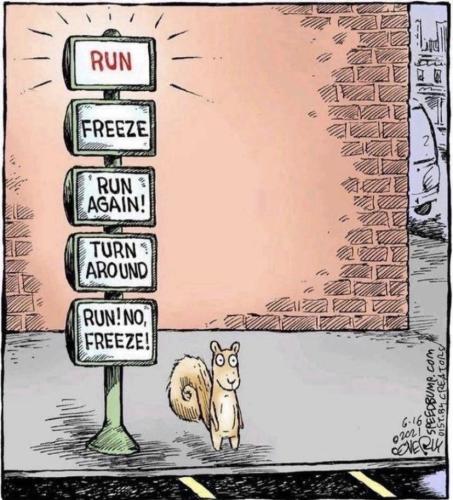 image_64CAFF17-1D96-4E7D-91B6-86BDFE0A639E