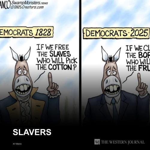 887D1903-3B36-4B70-A4DE-CA1364A6861B