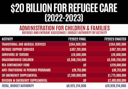 illegal immigration413