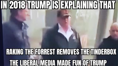 ZomboMeme 11012025020501