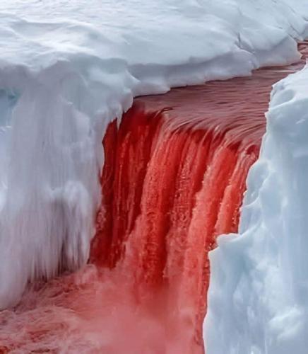 B1EA85EA-5C2D-470F-821C-F00B21413B15