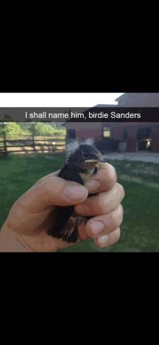 Screenshot_20250126_105846_Gallery