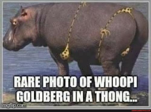 1bbd0c64a23fb8ce76ced920e671edab2e4d72e79e8152469db68517cee80bae_1