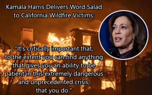 Harris word salad 4