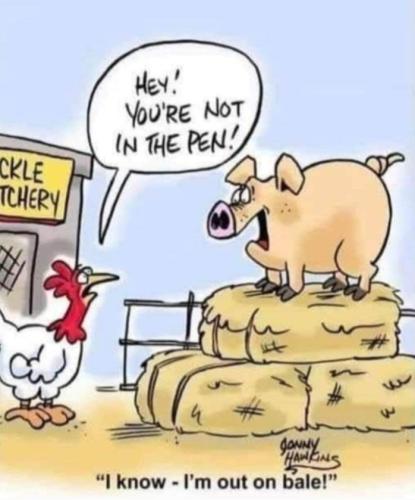 Screenshot_20250122_114648_Gallery