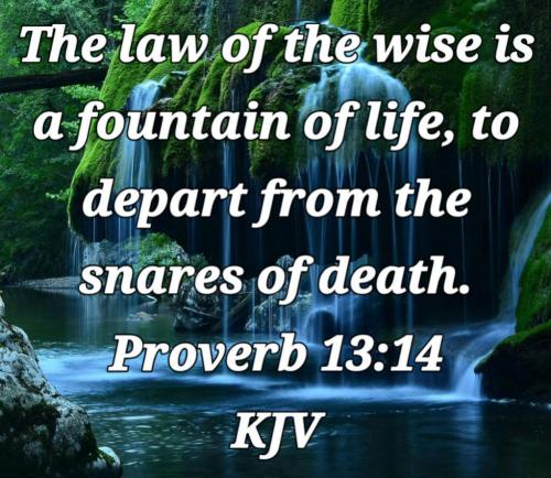 406215c6-b668-4f18-949d-7aca540c77a2