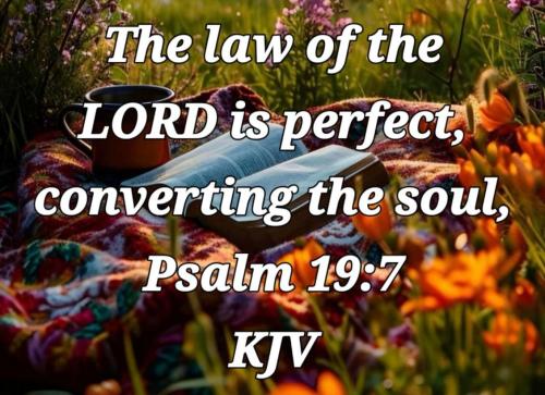 d0f5ee67-1354-486b-b390-5db069aa5b7e