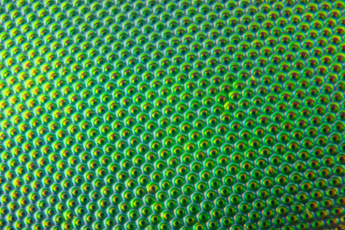 RDT_20250109_1349407754164863335355277