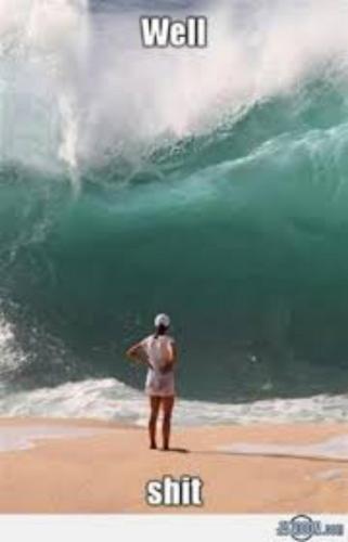 image_16B56389-8C9B-415F-AAD8-EE7EEEA10F74