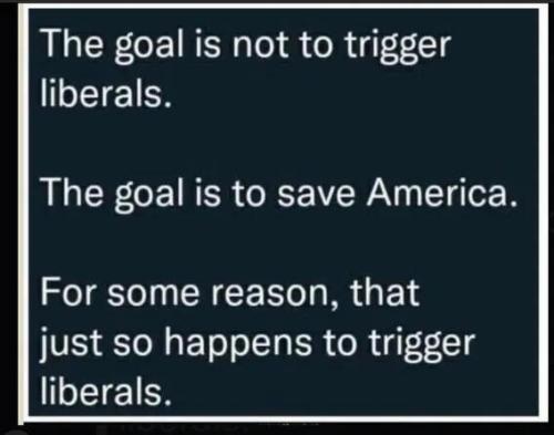 image_D0927236-166C-47EA-9A8C-41CC61C989DD