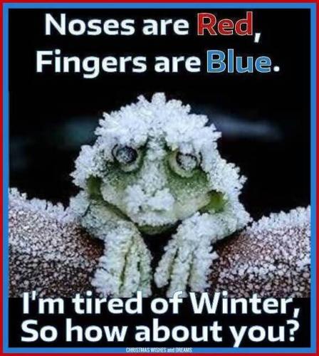 FB_IMG_1736769933507