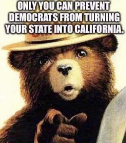 photo_2025-01-11_22-02-31