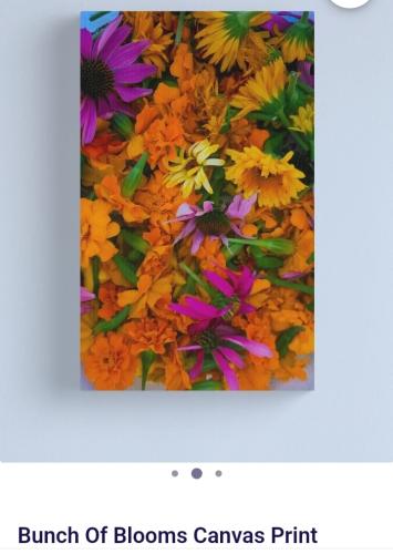 Screenshot_20250117_192934_Brave