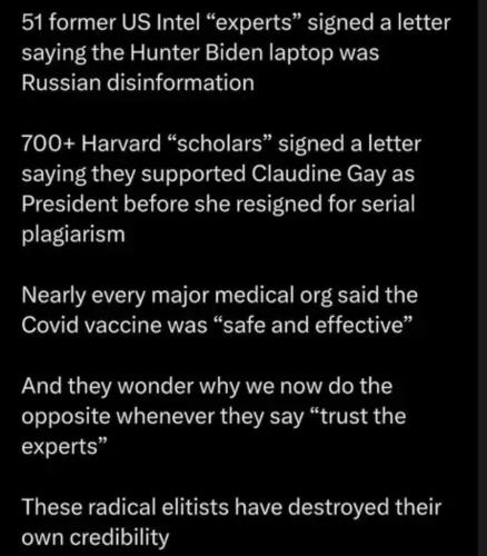 image_C80B4AD9-04D6-4FA0-B220-87CB28AE4D21