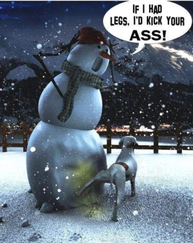 Screenshot_20250105_193021_Gallery