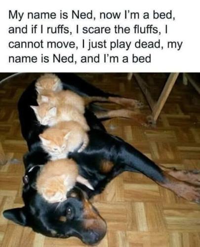 FB_IMG_1736780229137