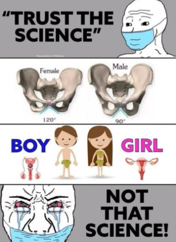 Screenshot 2025-01-06 175036