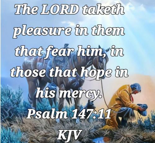 6995911a-adb2-4235-b02f-df85e92448b0