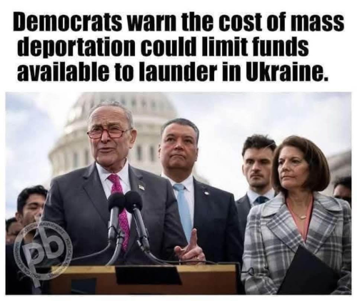 image_2025-01-26_081333138