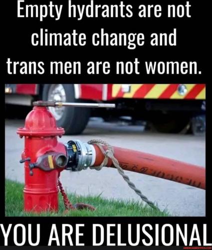 0ee1785b936cad71a0d0e1800aa9f4e89311ba4941cb0036af1a5cd535898b5d_1