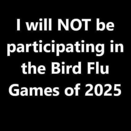 473812946_914308620859516_3338670935201064132_n