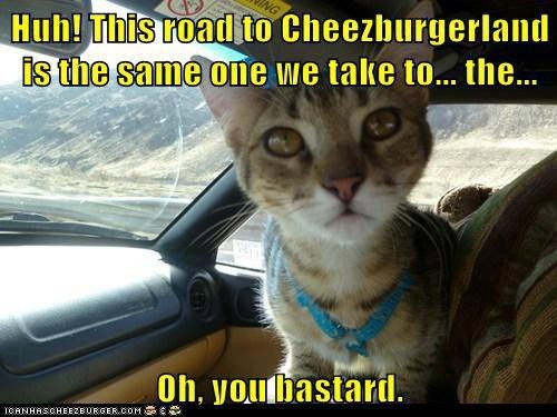 c6cb139211af1fd60aa826dcb451e809