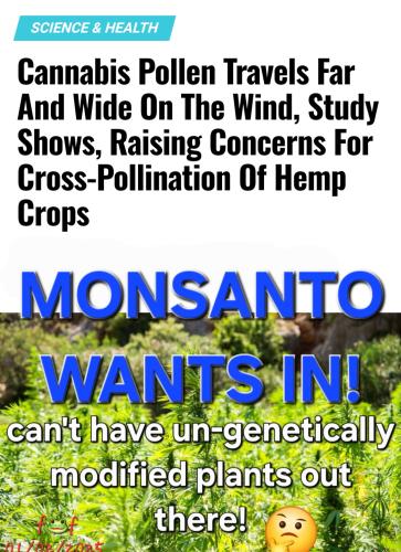 Screenshot_20250101_204953_Chrome