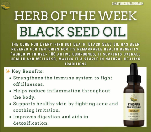 Screenshot 2025-01-28 100650