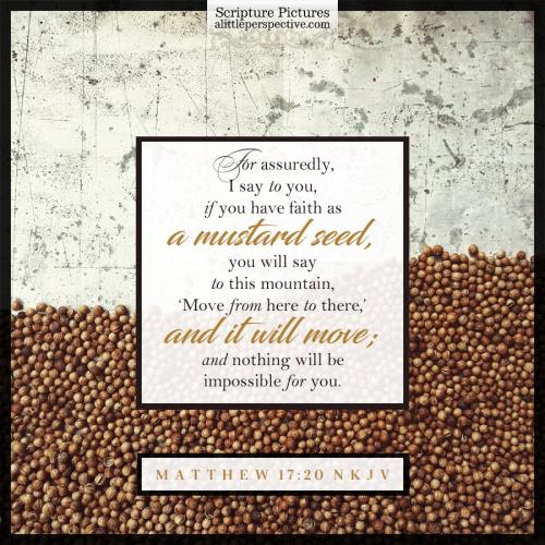 mat-17-20-NKJV-pixabay