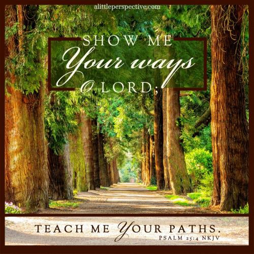 psa-25-4-pixabay-9x-SP