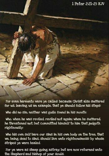 55d1df79-66a6-4d7d-bea5-a317ab95ee28