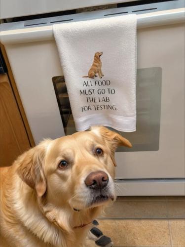 FB_IMG_1736121055578