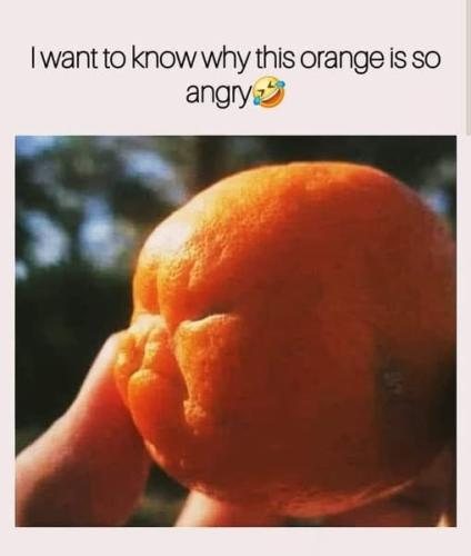 420989566_1425536701420489_7045952001186961875_n