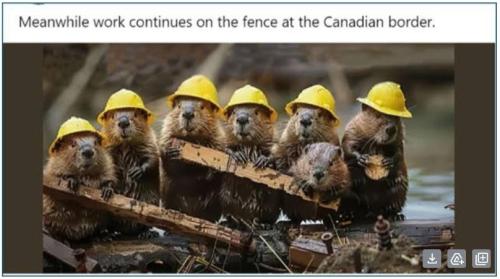 canadian fence building