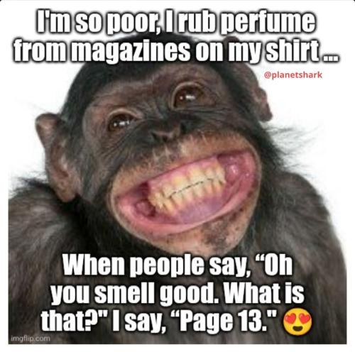 FB_IMG_1738021200486