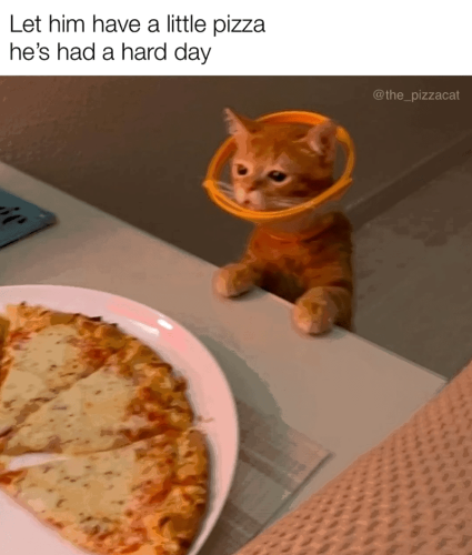 let-him-have-little-pizza-hes-had-hard-day-the_pizzacat