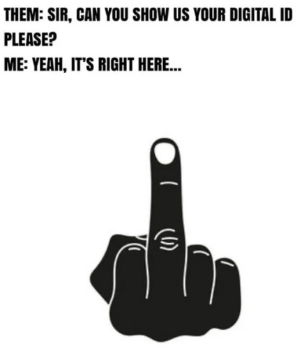 image_2025-01-15_063250204