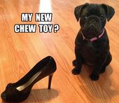 ae5796955f48ebe80527eceaff484367