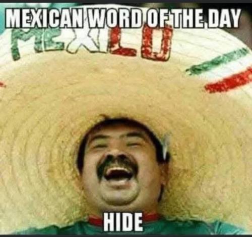 IMG_20250128_164408_894