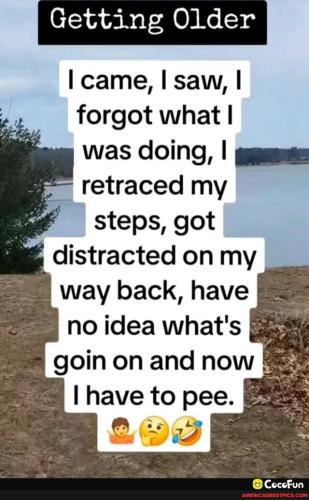 ca20bc259dafdd7dc4dac00dfcd05d2ae97dc3af58de12a221f6a68e5411cb0e_1